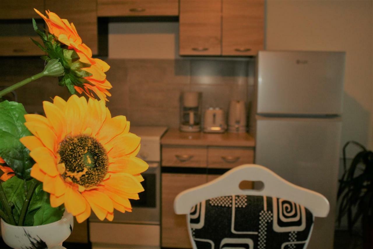 Casa Peterfi - Apartment With 3 Bedrooms And Spacious Living Room Târgu-Mureş Zewnętrze zdjęcie